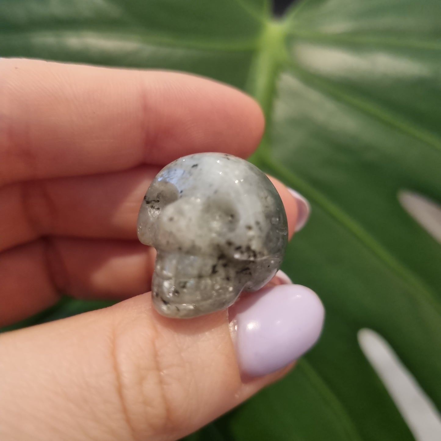 Mini Crystal Skull Rose Clear Quartz Labradorite Tigers Eye