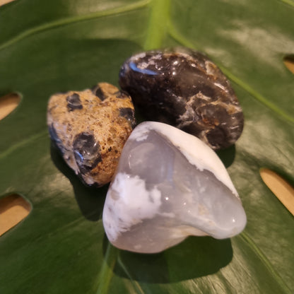 Dendrite Opal Tumblestone Crystal